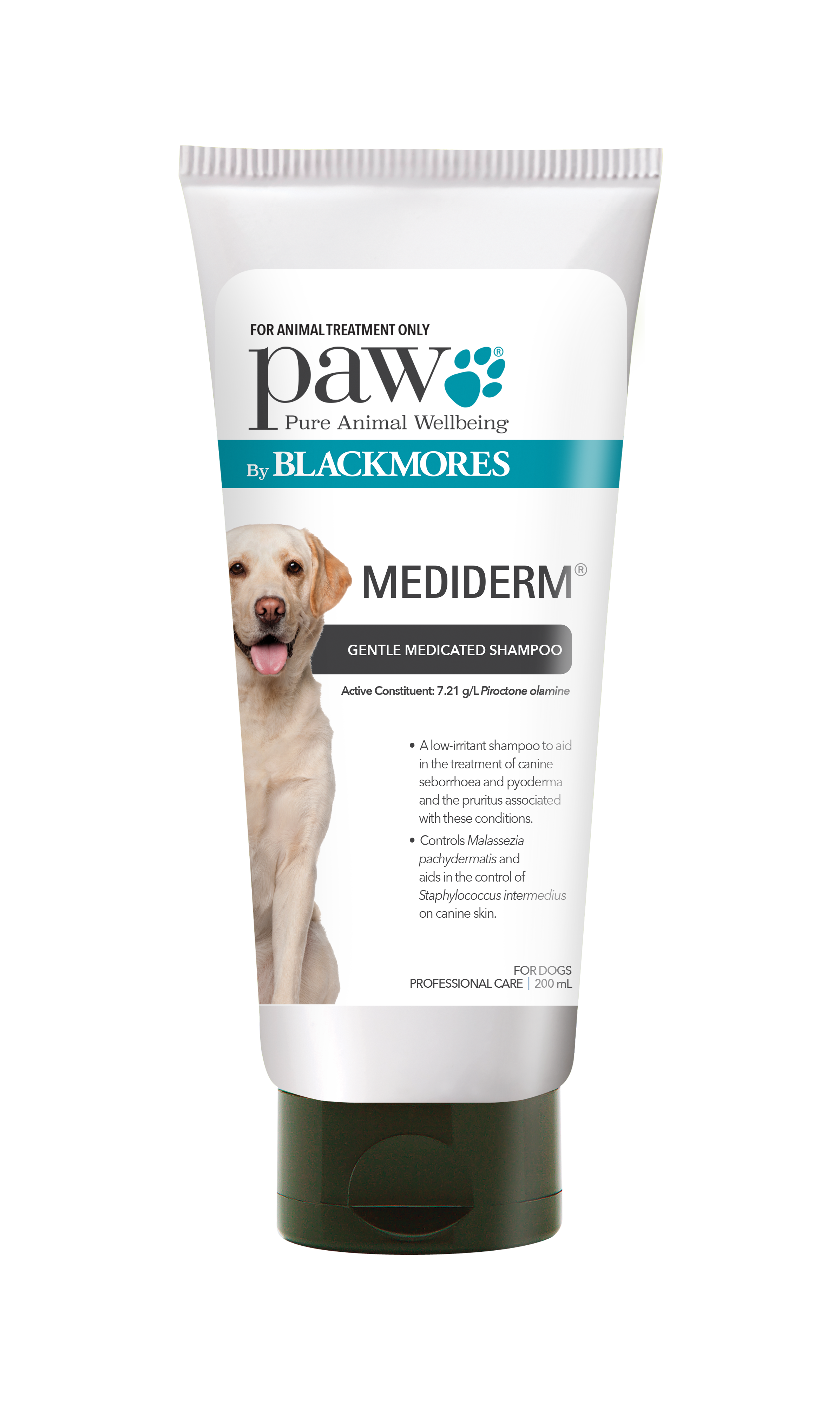 dog shampoo