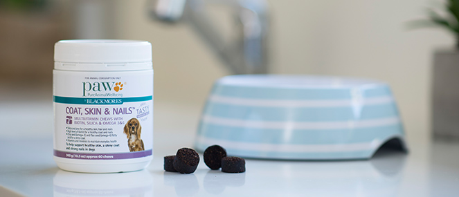 dog nail vitamins
