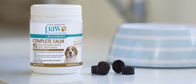 Vitamins for breastfeeding dog Clearance