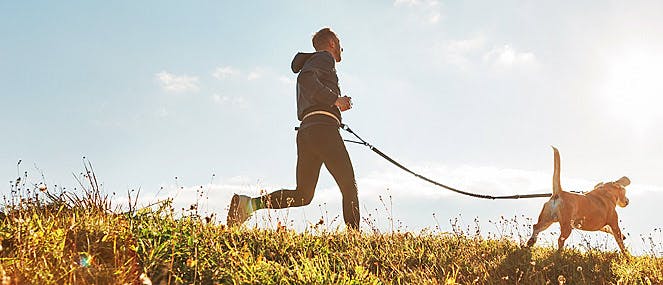 10 things to know before you run with your dog