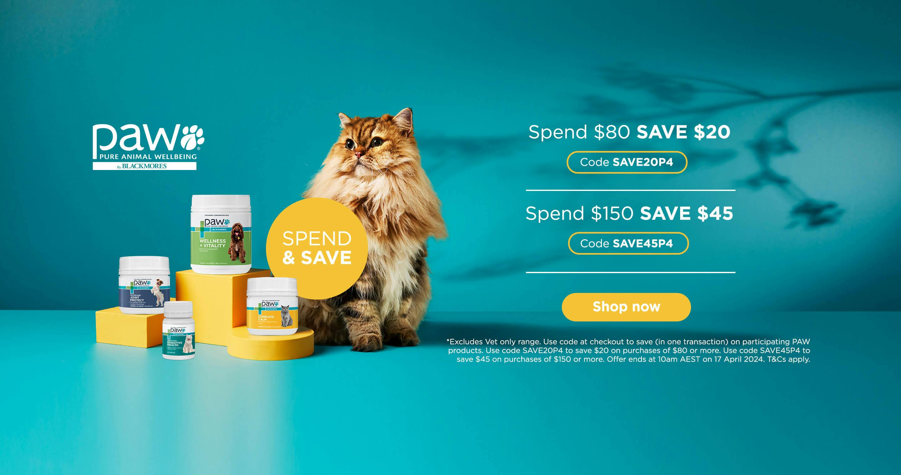 PAW_SpendSave_Sale_24_HP_BANNER_2880x1520