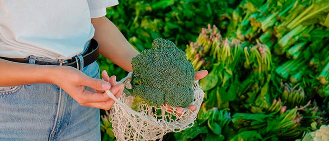 Magnesium-101-663x285