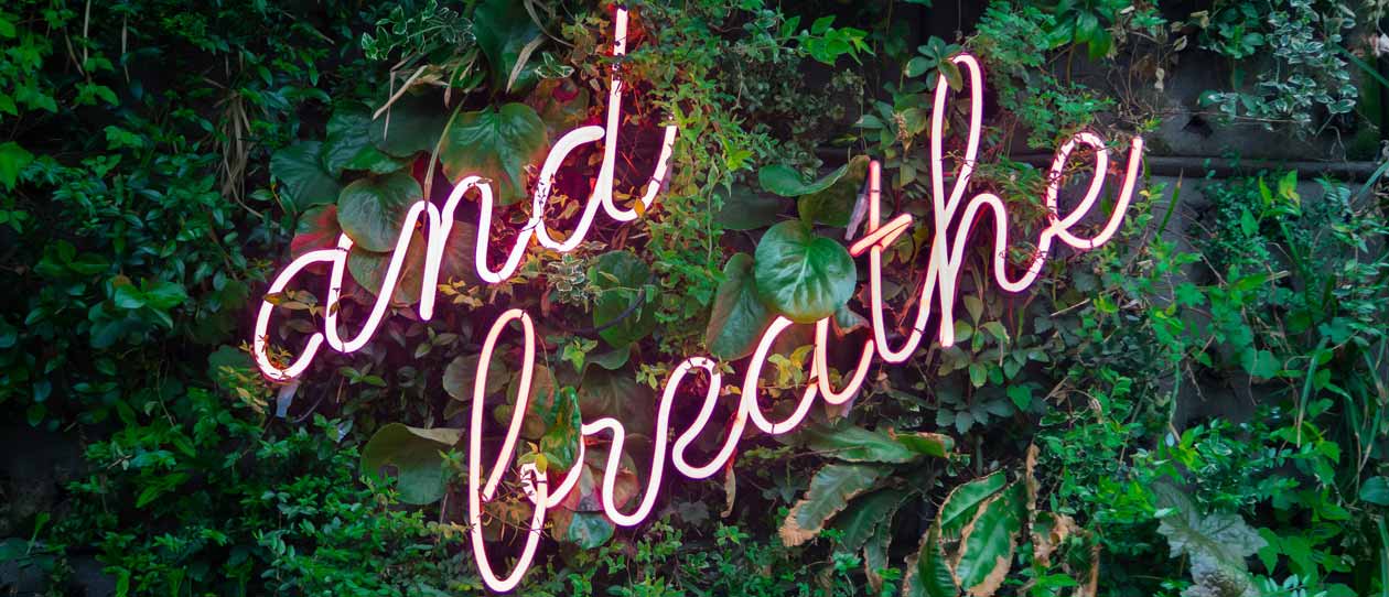 Neon sign saying and breathe in greenery 