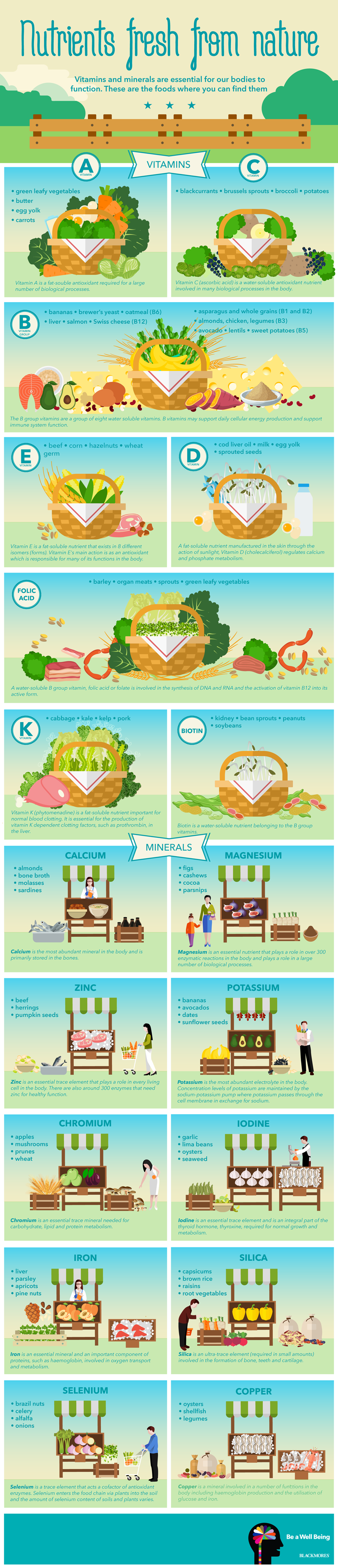Blackmores Vitamins and Minerals infographic