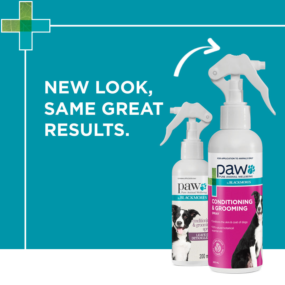 PAW Conditioning Grooming Spray New Look