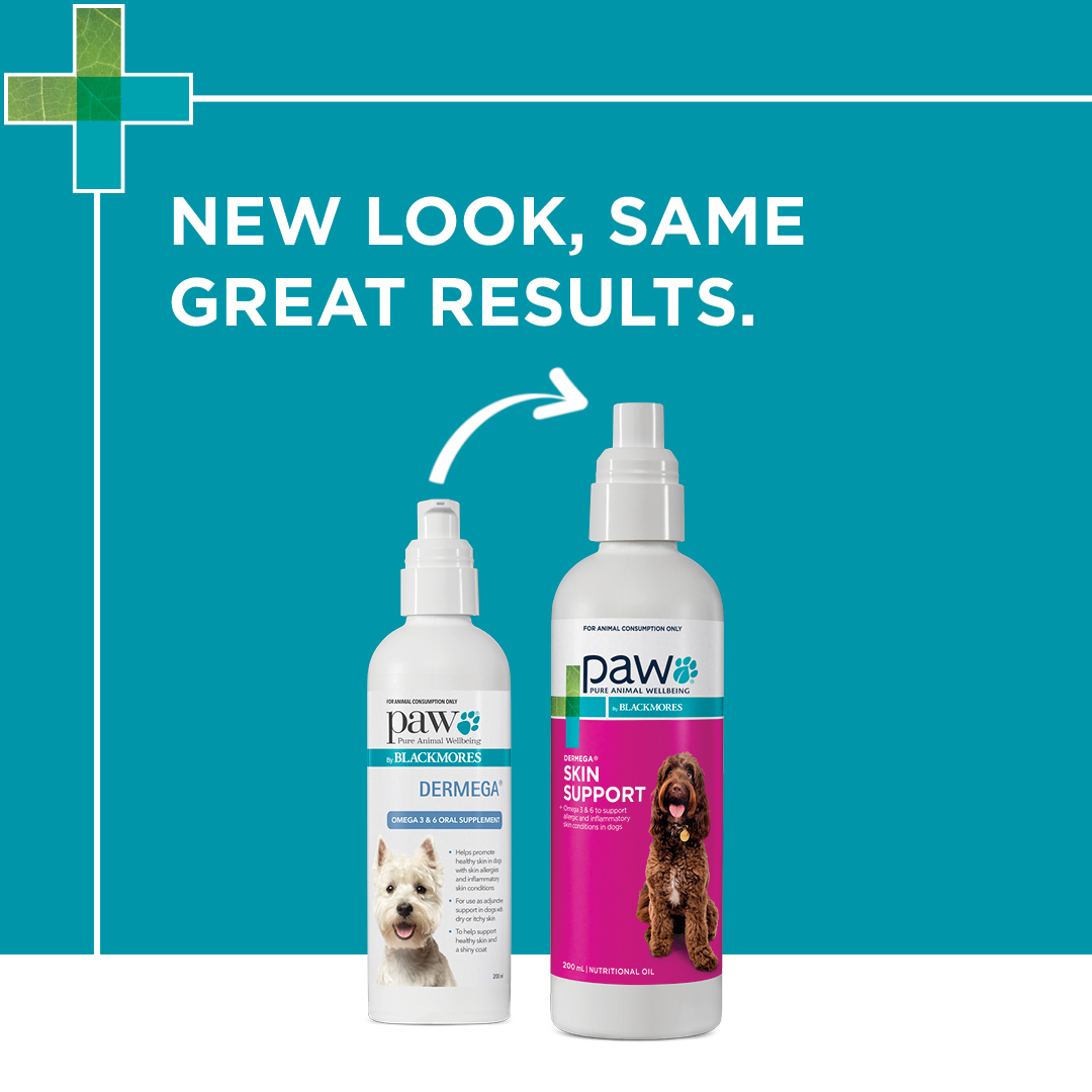Fish oil for dogs Dermega omega 3 for your dog at PAW by Blackmores