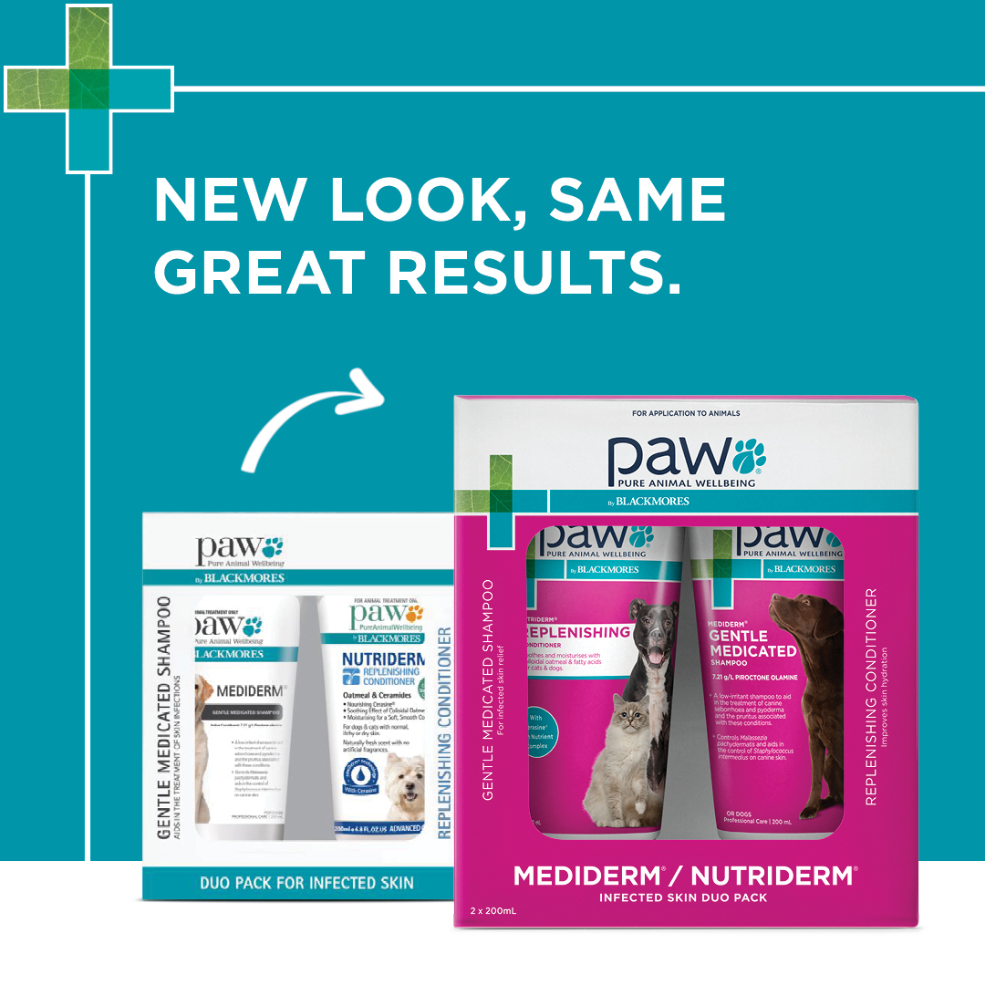 PAW Medi-NutriDerm Duo Pack New Look