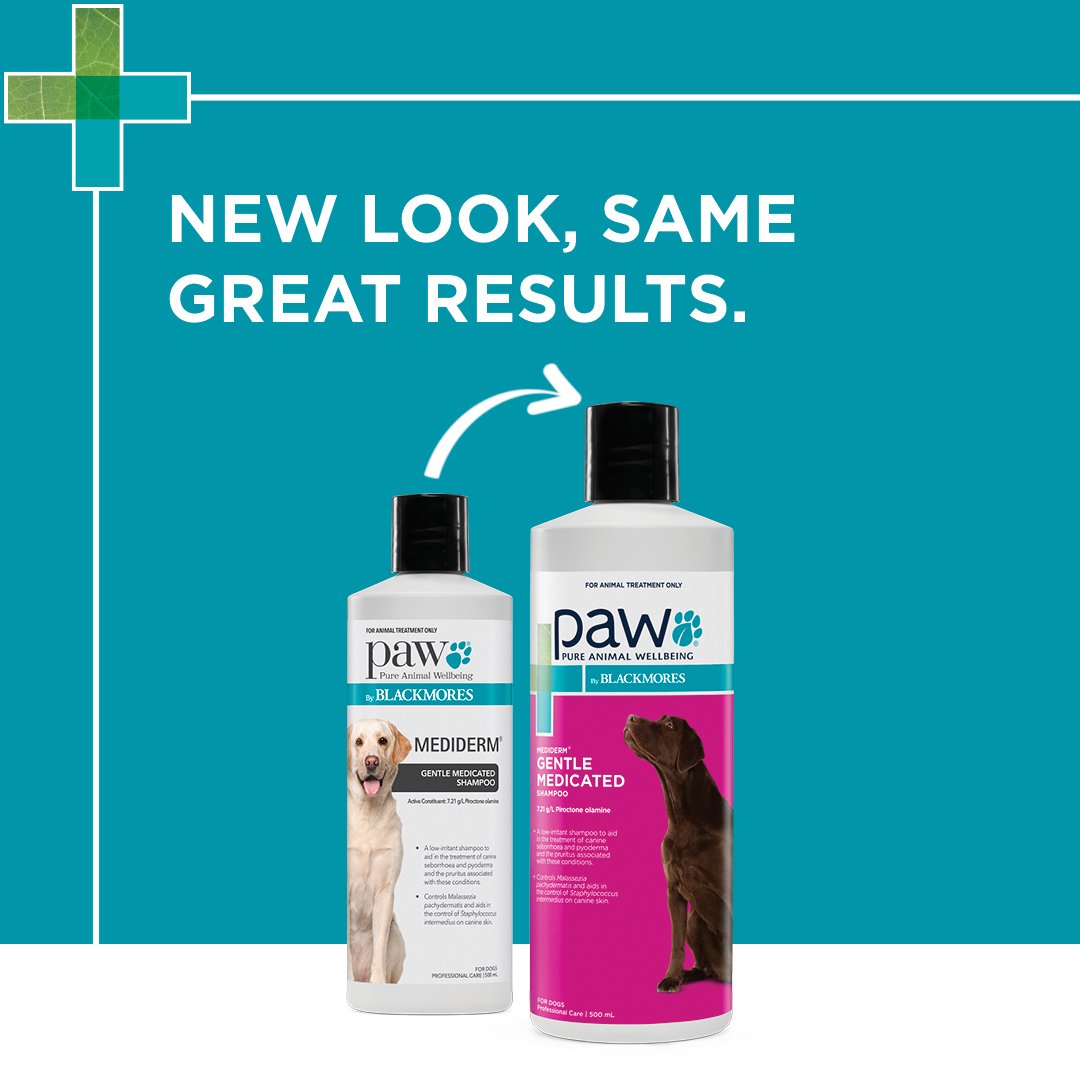 PAW MediDerm Gentle Medicated Shampoo New Look