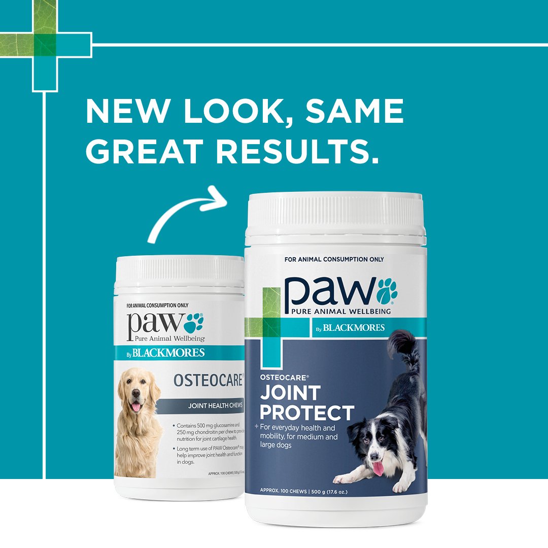 PAW Osteocare Joint Protect Chews New Look