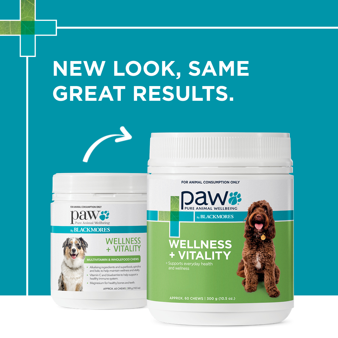 PAW Wellness + Vitality Multivitamin Chews New Look