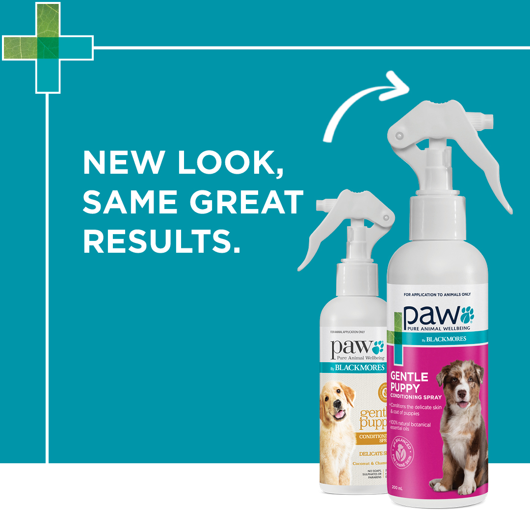 PAW Puppy Conditioning Spray New Look