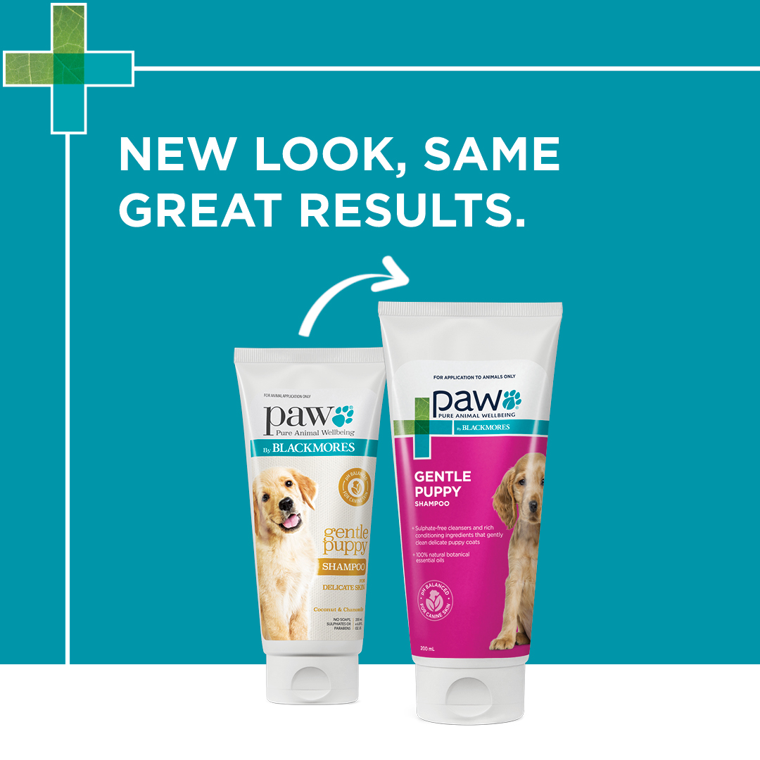 Puppy shampoo for gentle puppy grooming from PAW by Blackmores