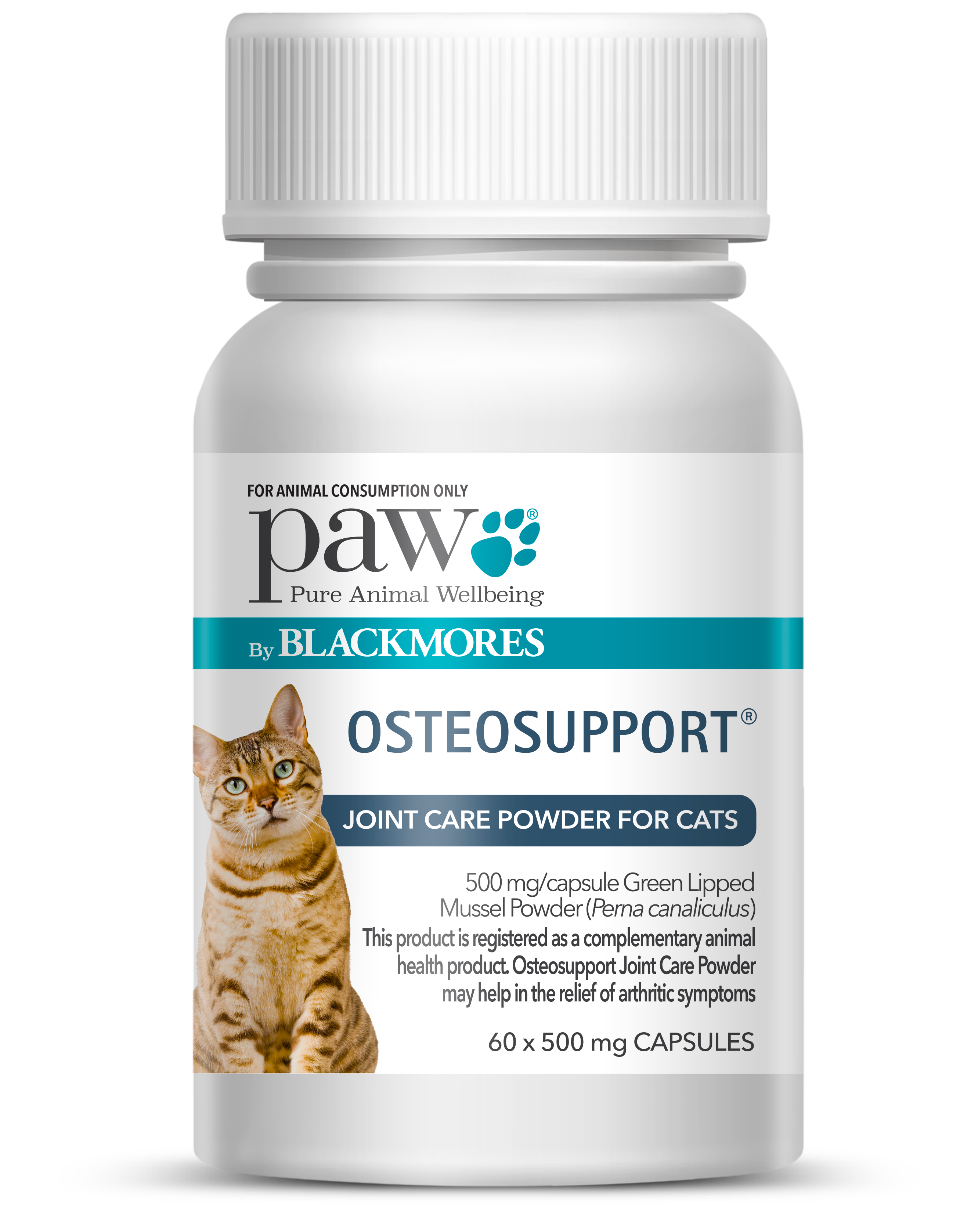 Osteosupport Cats (60)