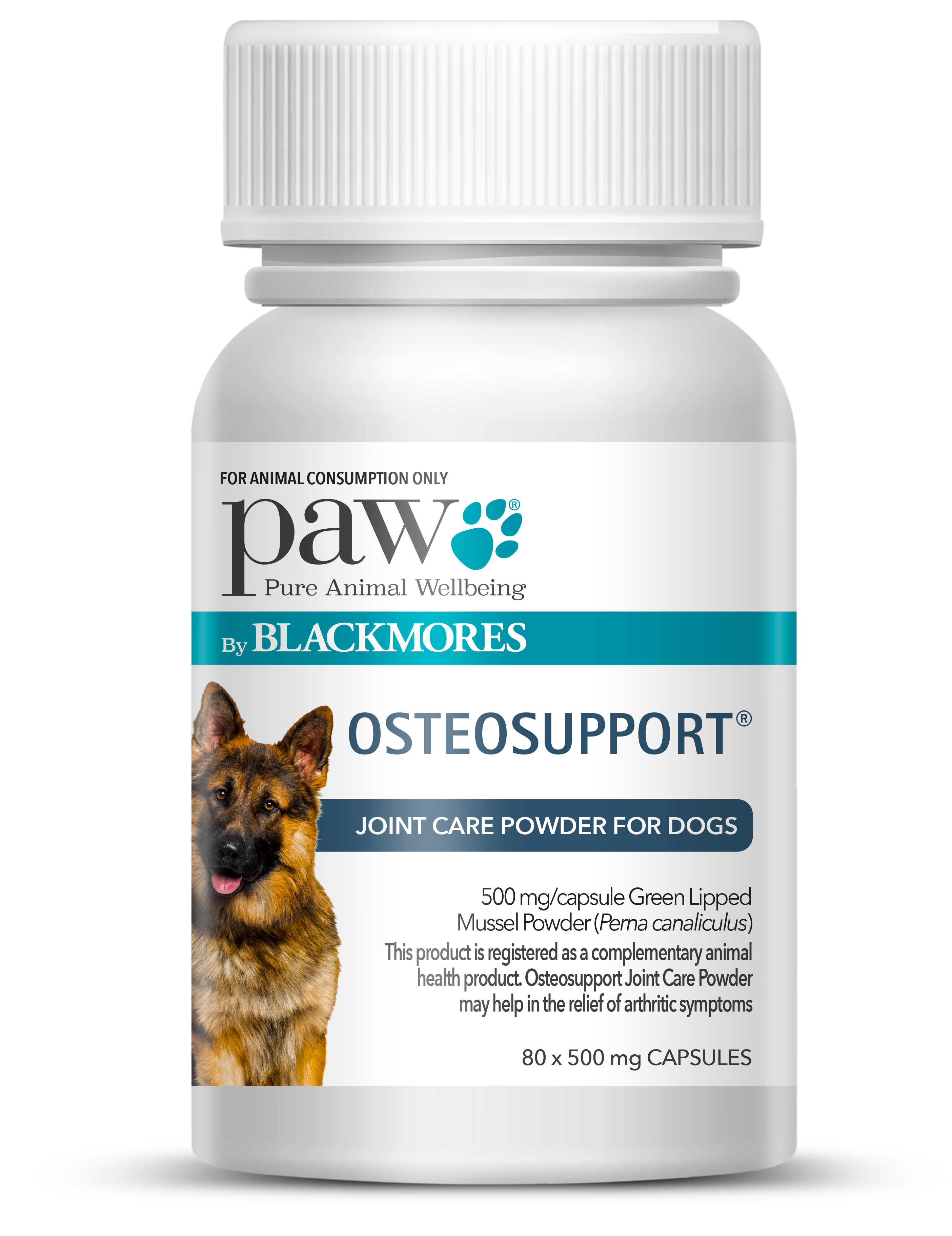 Osteosupport Dogs (80)