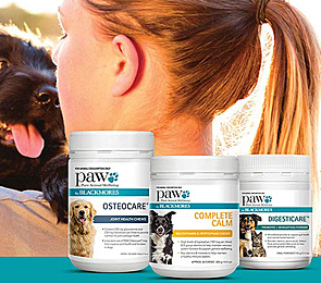 Blackmores Vitamins Supplements Australia S 1 Blackmores