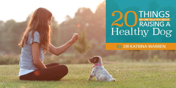 20 things ebook feature