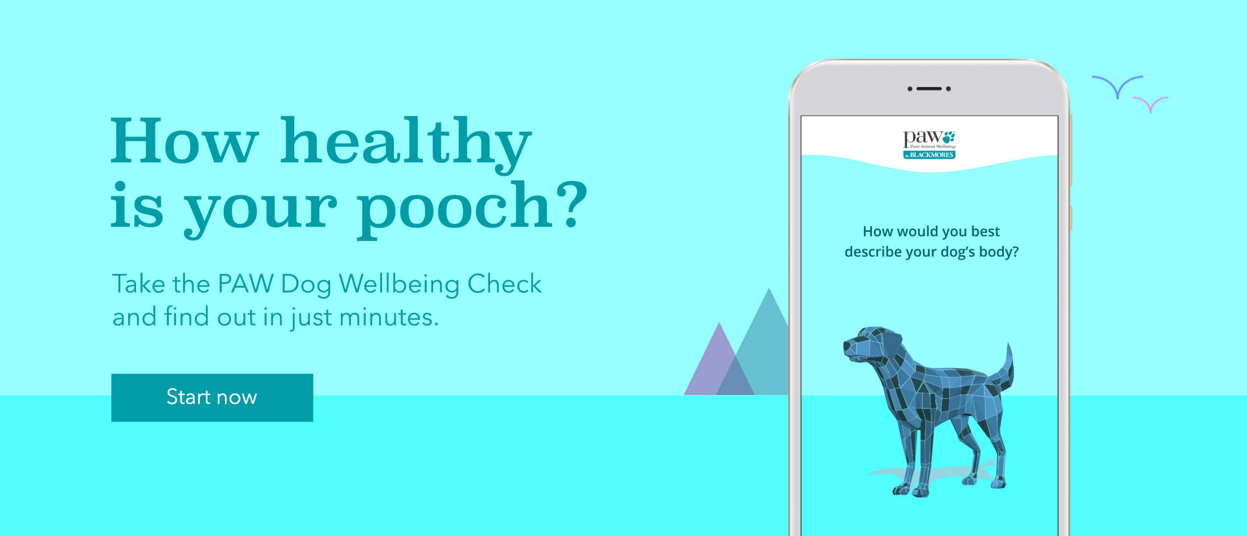 Take the Dog Wellbeing Check and test your dog's health in just 2 minutes. Take the survey now www.dogwellbeingcheck.com.au
