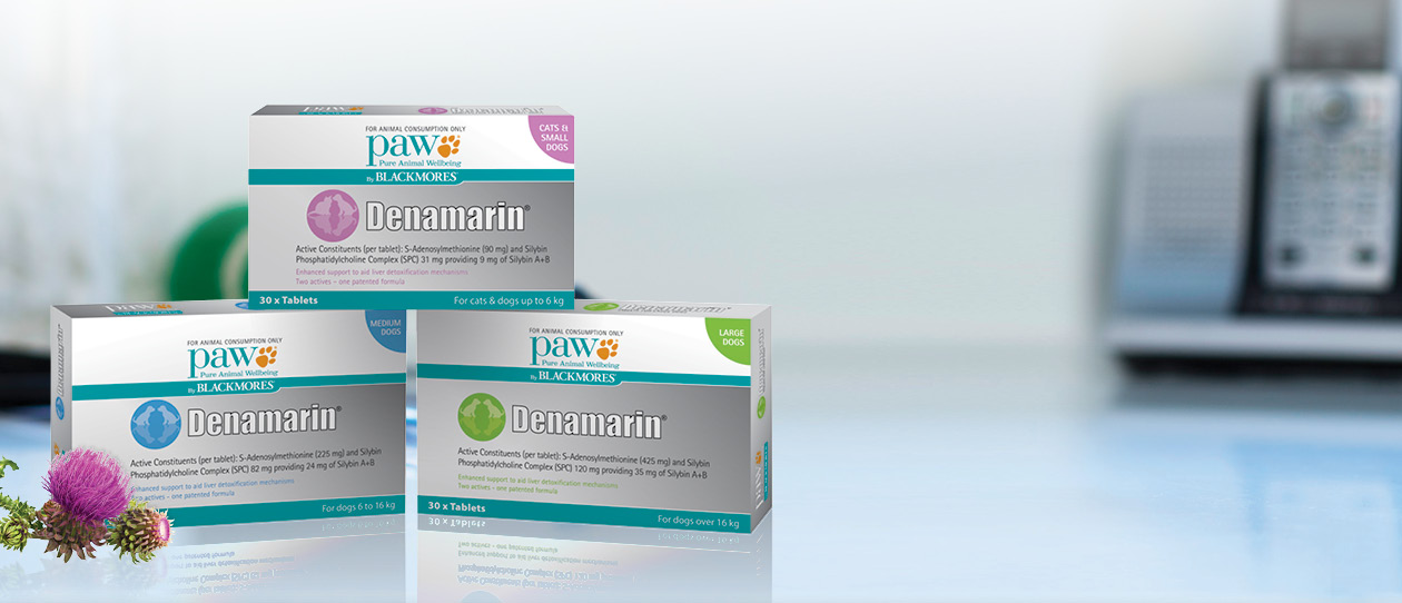 Liver health - PAW Denamarin® - PAW by 