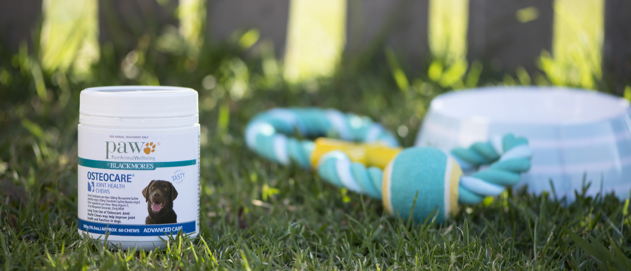 blackmores osteocare joint health chews 500g