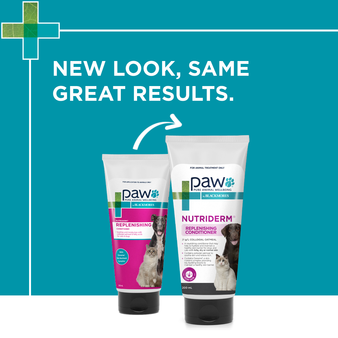 Dog oatmeal conditioner from PAW by Blackmores