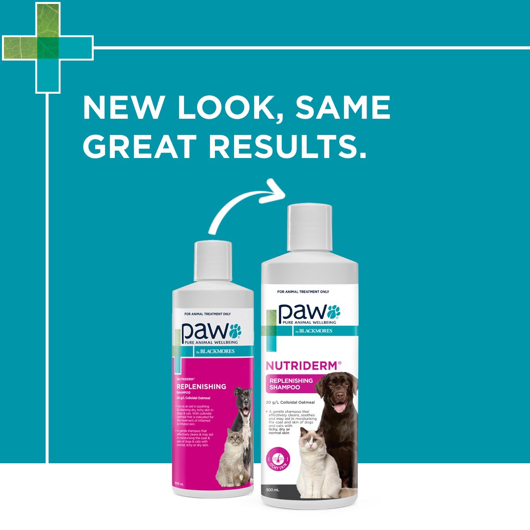 PAW NutriDerm Replenishing Shampoo-New Look Image
