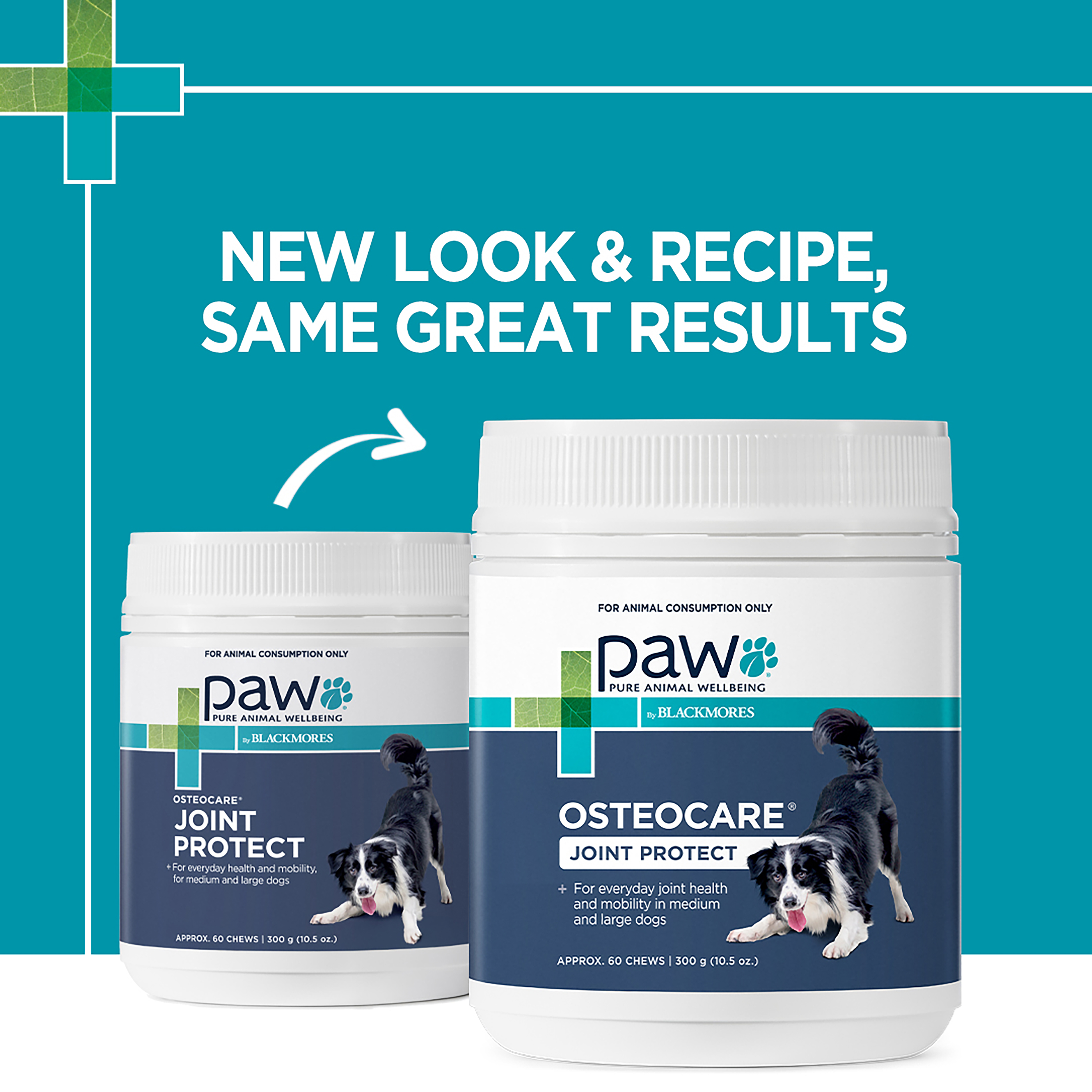 PAW OsteoCare Joint Protect New Look