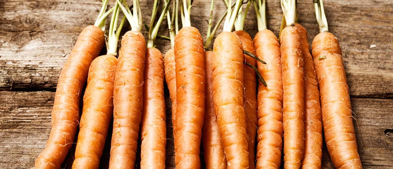 banish diet boredom