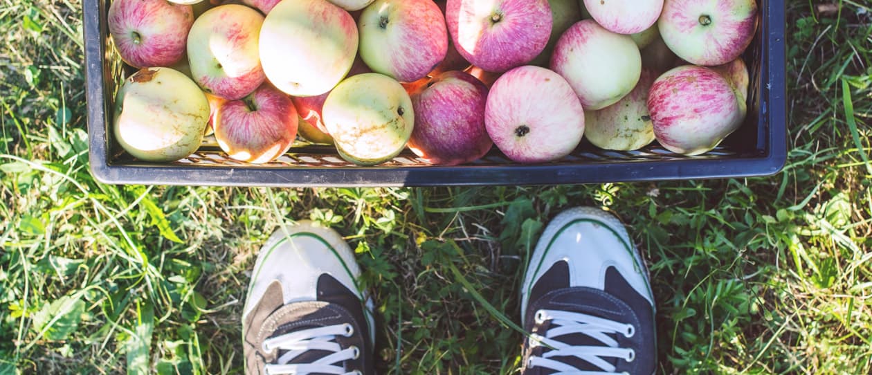 3 top tips for healthy digestion