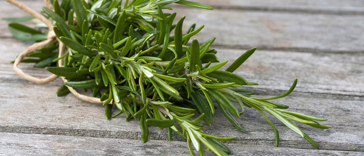 4 natural ways to help you  your digestion destress 
