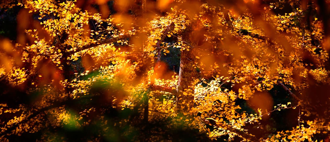 6 Ways to make your health resolutions stick this autumn