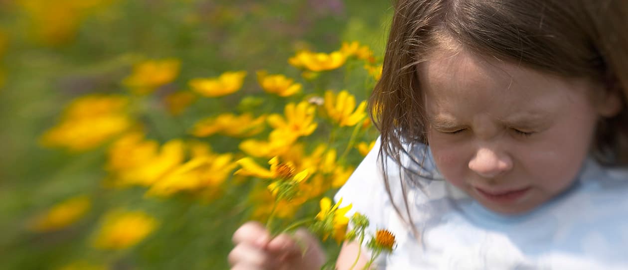 Allergies part 1 