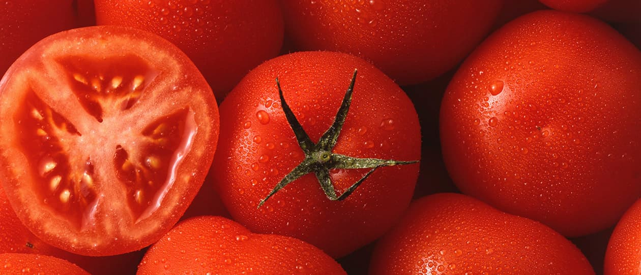 Are organic tomatoes better for you 