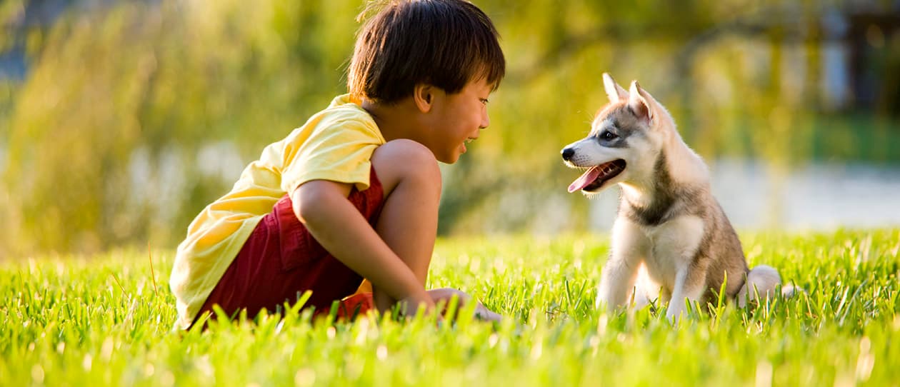 Are pets bad for childhood allergies 