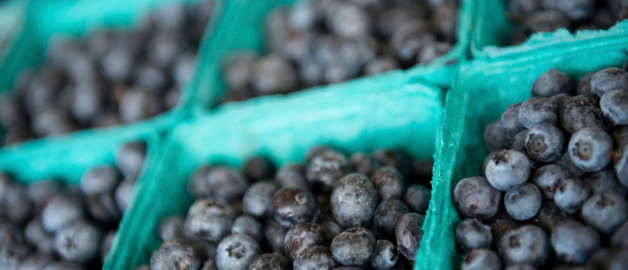 Berries the superfood of healthy ageing 