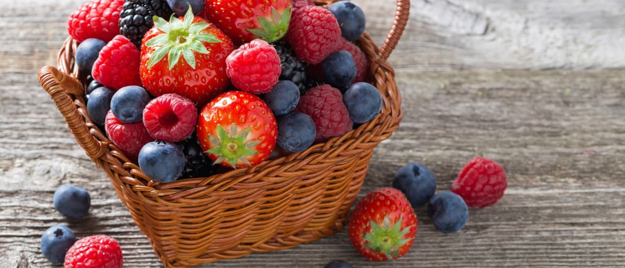 Berry slice recipe