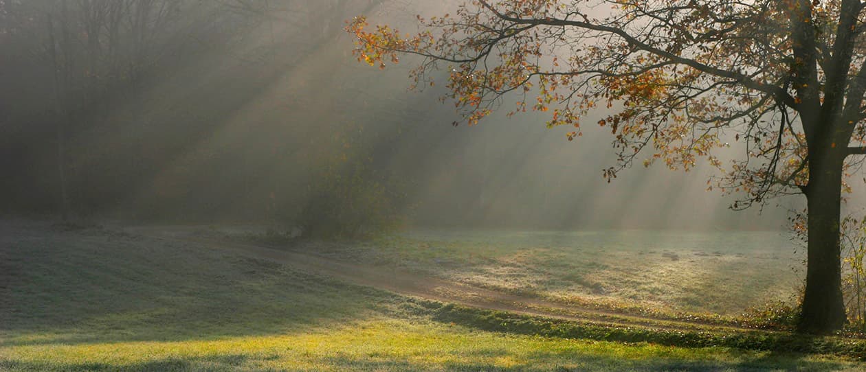 Better your health and the health of our planet 
