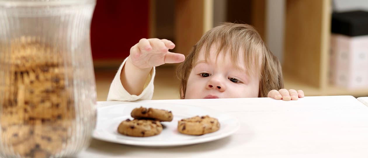Child not so friendly food myths 