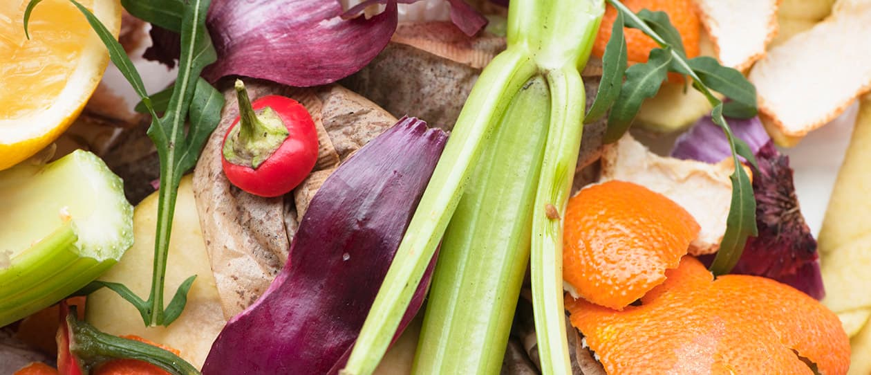Composting tips
