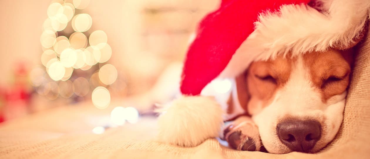 Don't make the festive season just about food 