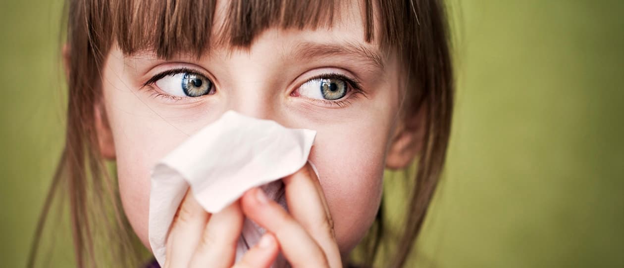 Ending the spring time sneeze 