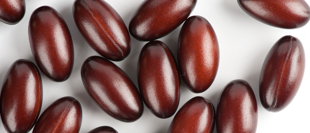 Focus on coenzyme q10