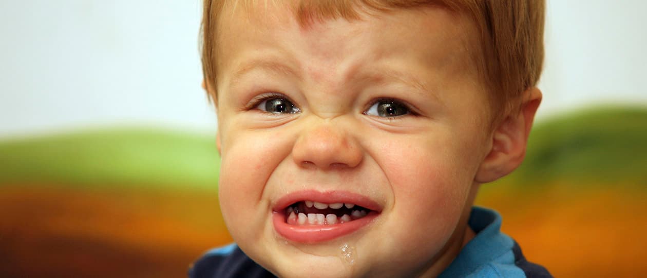 Fussy eaters when to start worrying 