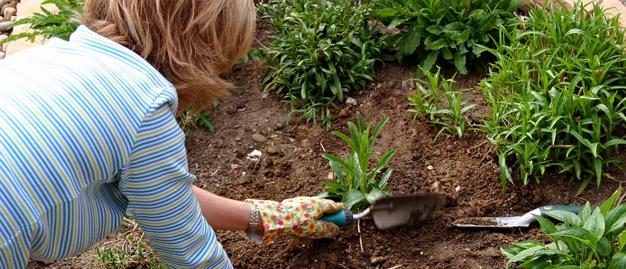 Garden your way to a better body 