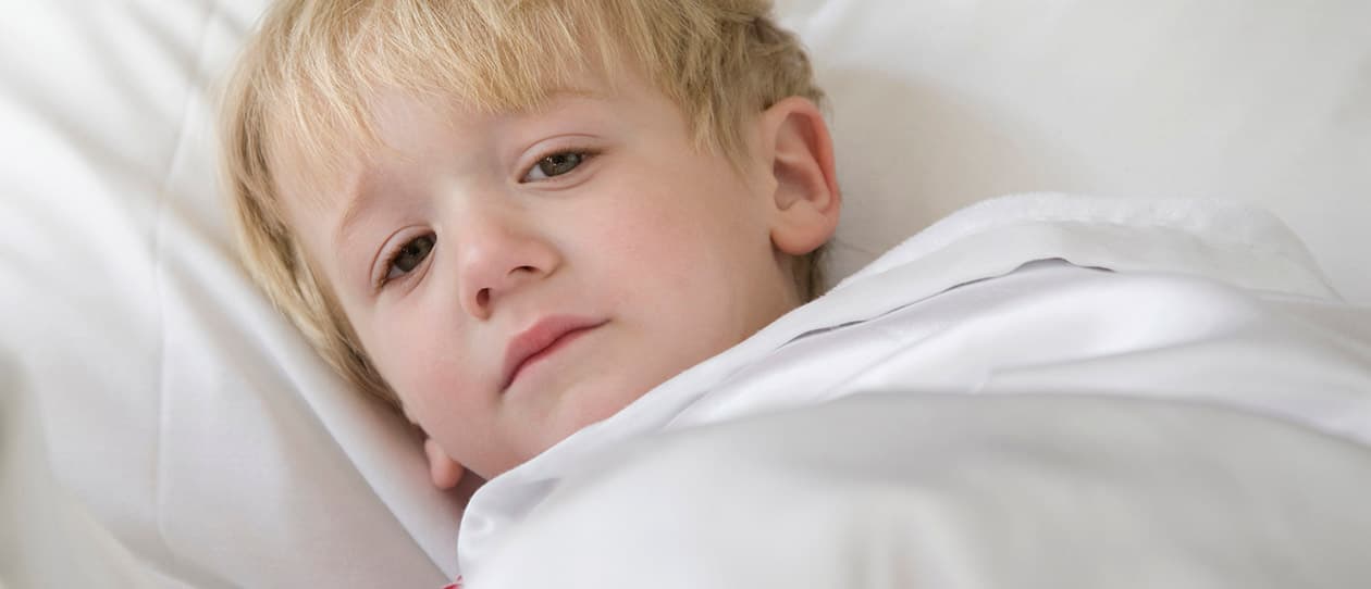 Gut microflora and your childs allergies 