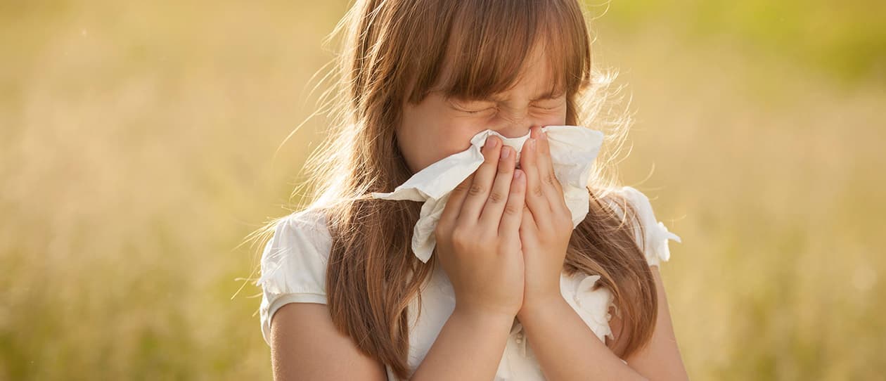 Hay fever Natural tips 