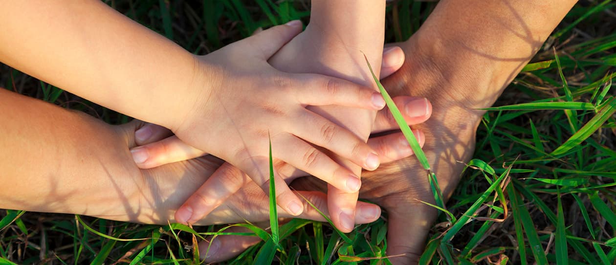 Houseguest rules for family wellbeing 