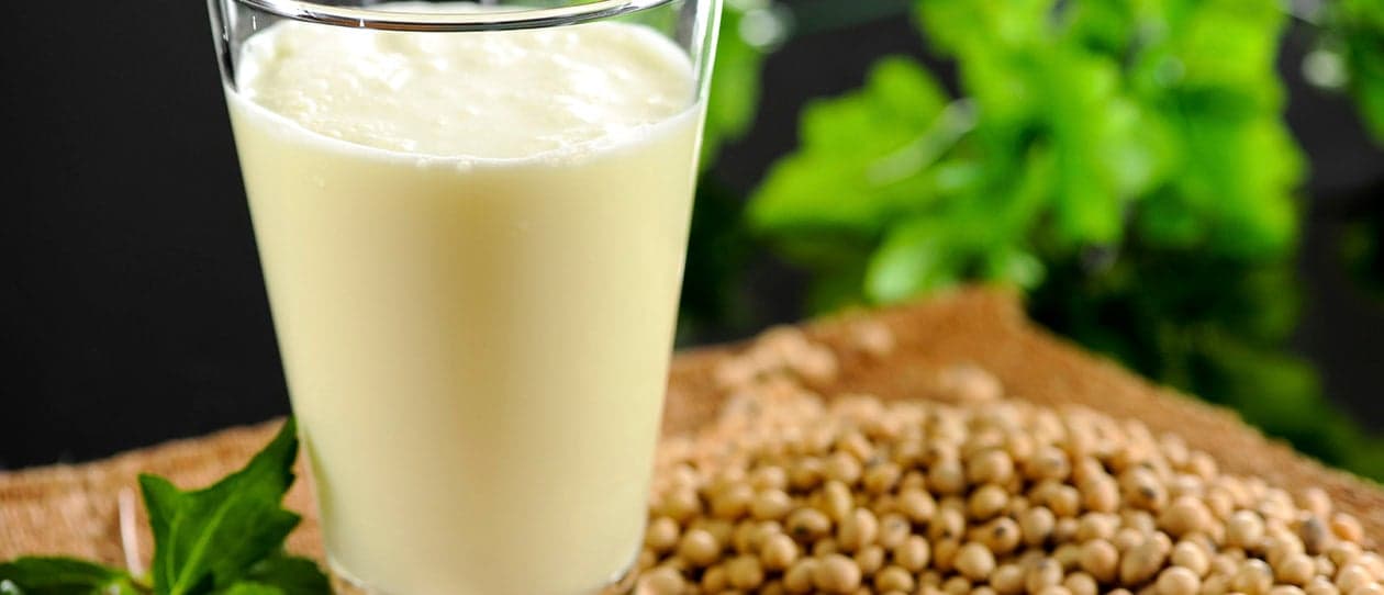 How do soy foods impact fertility