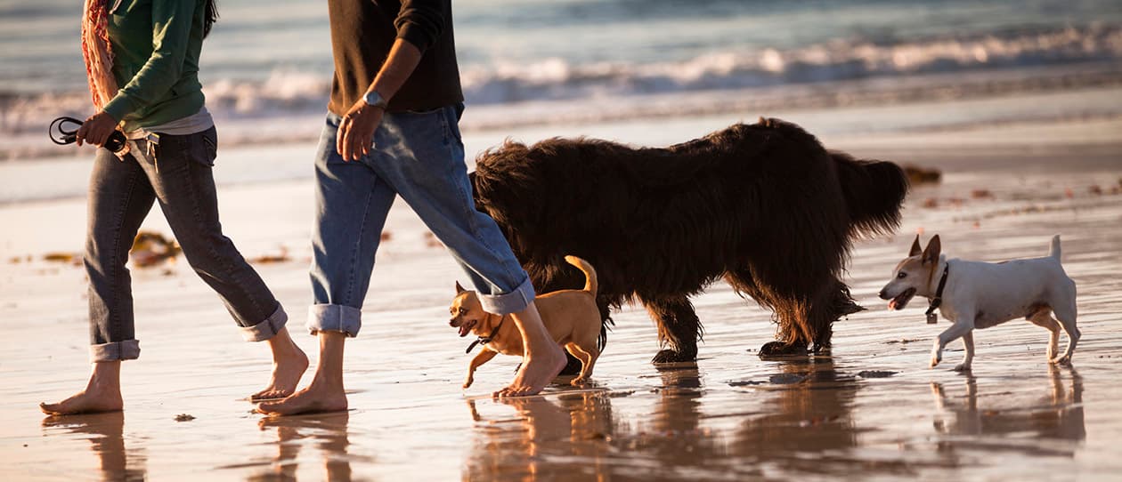 How to stress less and leave work on time 1260x542