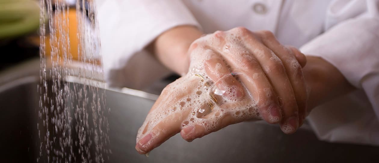Immunity in the spotlight 1260x542