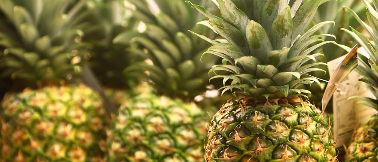 Is fruit making us fat 1260x542